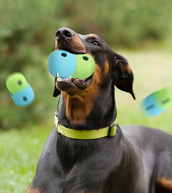 Dogs Gnawing On Bowls