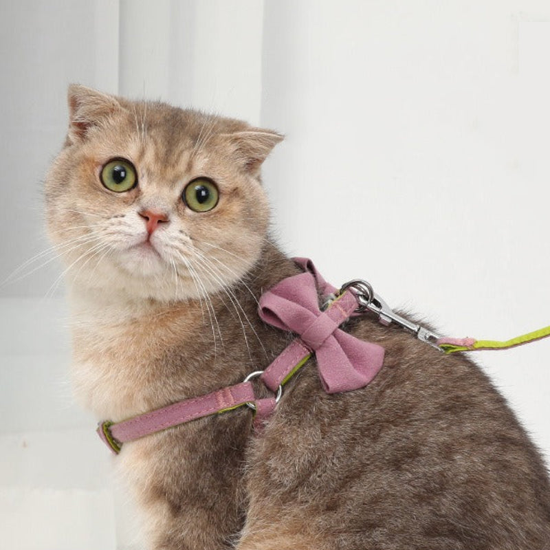 Adjustable Cat Harness and Leash Set