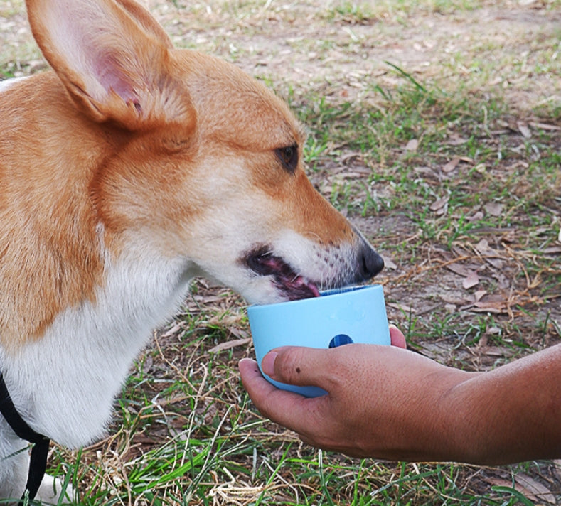 Dogs Gnawing On Bowls