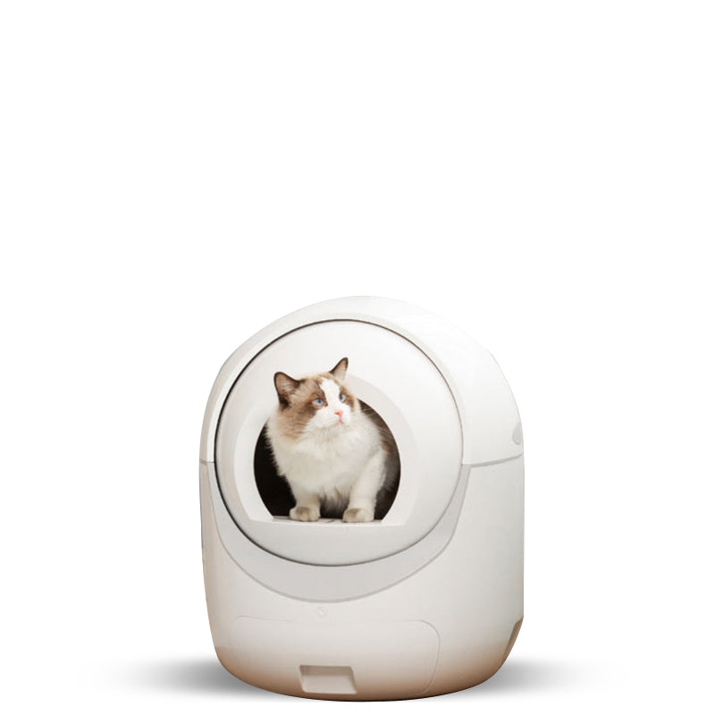 Fully automatic pet cat toilet