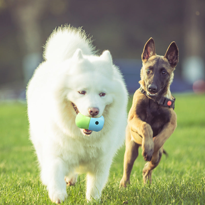 Dogs Gnawing On Bowls