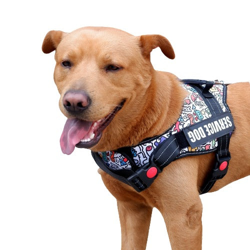 Adjustable Soft Padded Dog Vest