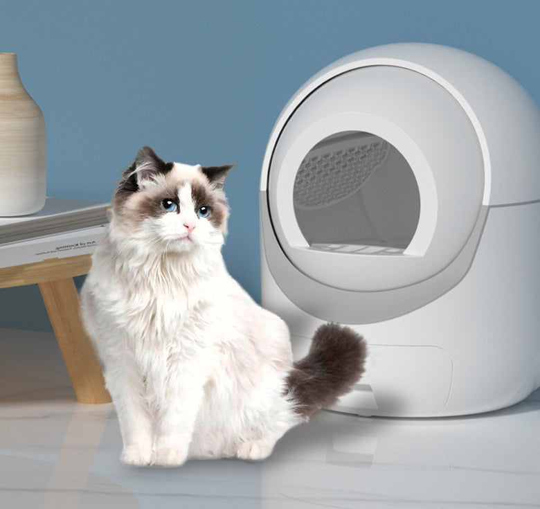 Fully automatic pet cat toilet