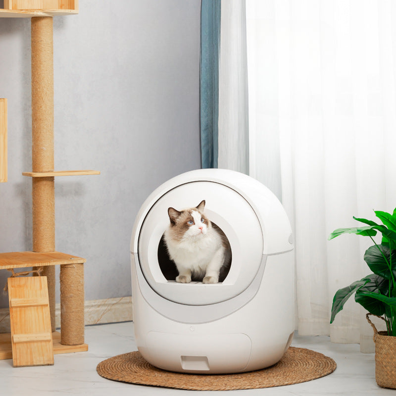 Fully automatic pet cat toilet